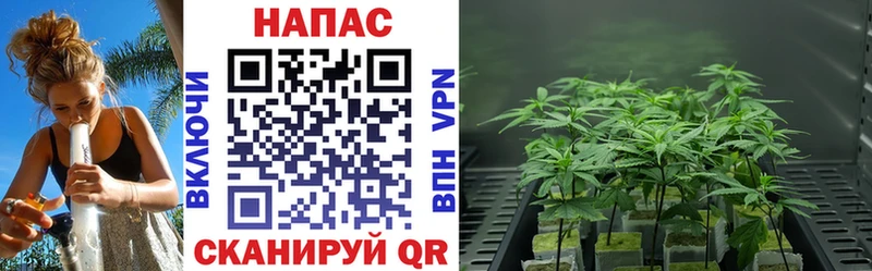 МАРИХУАНА гибрид  купить   Ужур 